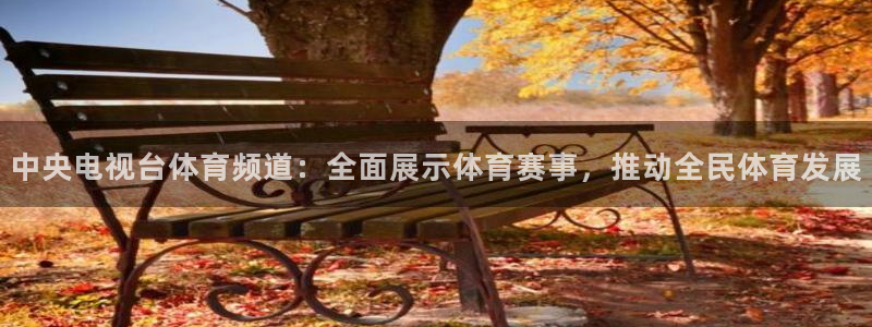 中央电视台体育频道：全面展示体育赛事，推动全民体育发展
