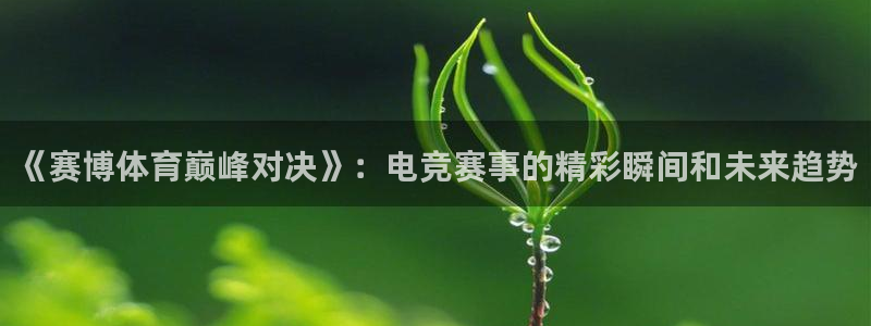 《赛博体育巅峰对决》：电竞赛事的精彩瞬间和未来趋势