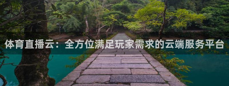 体育直播云：全方位满足玩家需求的云端服务平台